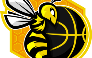 Planning du week-end des 28 &amp; 29 Septembre. 🗓 🏀