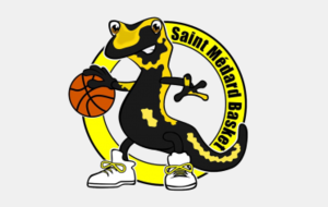 Nationale 3 : Un gros test à Saint Médard pour les Montois.