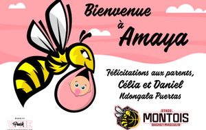 🍼🏀 Carnet Rose 🏀🍼