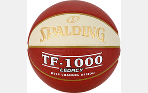 Ballon LNB TF 1000 LEGACY