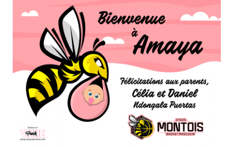 🍼🏀 Carnet Rose 🏀🍼