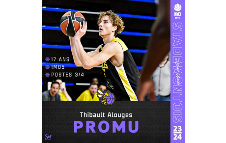 | 𝐍𝐌𝟑 - 𝐄𝐅𝐅𝐄𝐂𝐓𝐈𝐅 𝟐𝟎𝟐𝟑/𝟐𝟎𝟐𝟒 | - Thibault Alouges - 🐝🏀🟡⚫