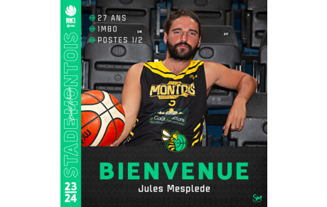 | 𝐍𝐌𝟑 - 𝐄𝐅𝐅𝐄𝐂𝐓𝐈𝐅 𝟐𝟎𝟐𝟑/𝟐𝟎𝟐𝟒 | - Jules Mesplede - 🐝🏀🟡⚫